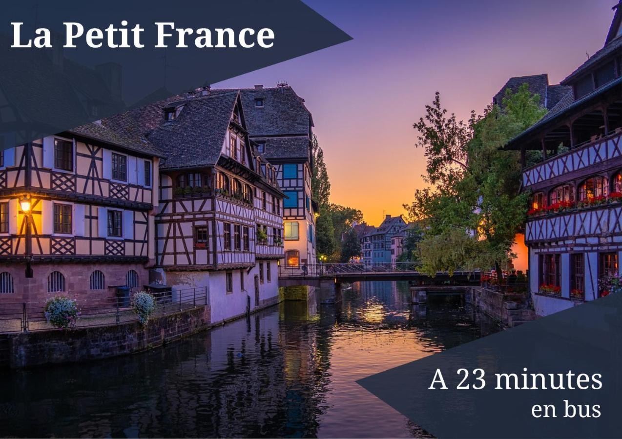 שילטיגהיים Le Reve Bleu - Golden Tree - Wifi - 15Min Centre Ville De Strasbourg מראה חיצוני תמונה